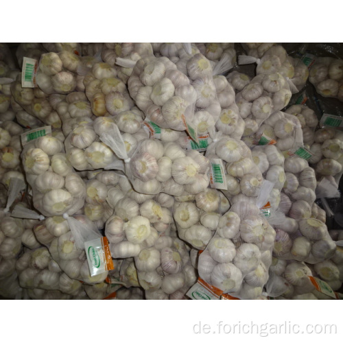 Frischer normaler weißer Knoblauch New Crop 2019